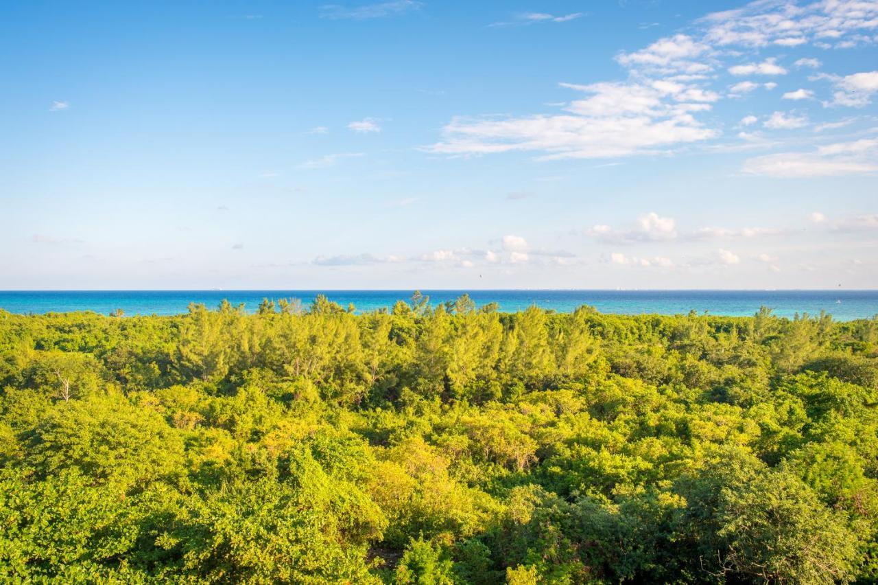 Suites Cielo Y Mar (Adults Only) ปลายาเดลการ์เมน ภายนอก รูปภาพ
